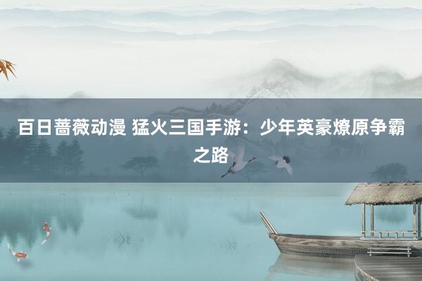 百日蔷薇动漫 猛火三国手游：少年英豪燎原争霸之路