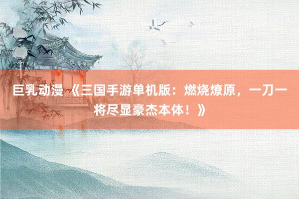 巨乳动漫 《三国手游单机版：燃烧燎原，一刀一将尽显豪杰本体！》