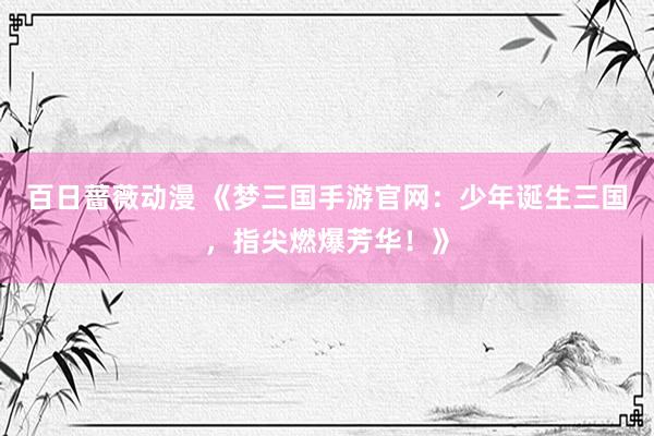 百日蔷薇动漫 《梦三国手游官网：少年诞生三国，指尖燃爆芳华！》